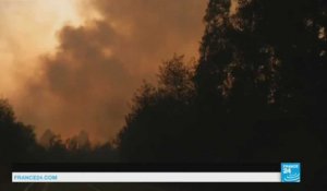 Incendies au Chili : 7 morts dans le "pire désastre forestier" du pays