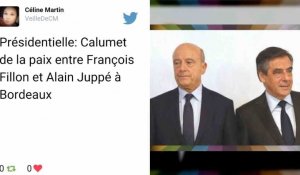 François Fillon va rencontrer Alain Juppé à Bordeaux