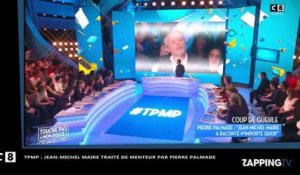 Jean-Michel Maire - TPMP : le chroniqueur traité de menteur par Pierre Palmade (vidéo)