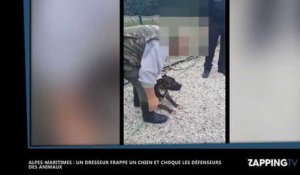 Une vidéo de maltraitance animale dans un club canin fait scandale (vidéo)