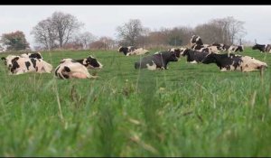 Salon de l'agriculture 2017 : présentation de la ferme laitière bas carbone