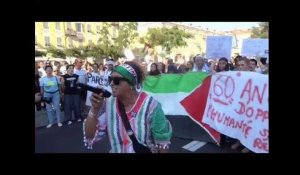 A Nice, près de 300 manifestants solidaires de Gaza