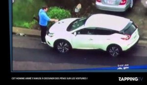 Un homme armé surpris... en train de dessiner des pénis sur des voitures ! (vidéo)