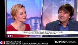 Zap politique 28 février : Benoît Hamon désavoué, François Hollande taclé par le FN, Nicolas Hulot prudent (vidéo)