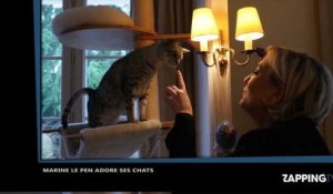 Marine Le Pen se met en scène avec ses chats, sa vidéo étonnante