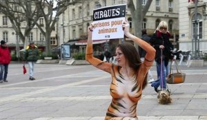 L'association PETA défend les animaux des cirques à Avignon