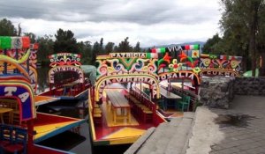 Xochimilco: un trésor naturel aztèque est en train de disparaître