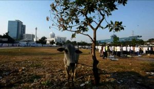 Indonésie et Singapour: les musulmans fêtent l'Aïd