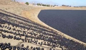 96 millions de balles noires pour sauver un réservoir d'eau à Los Angeles