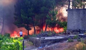 Un millier de pompiers mobilisés au Portugal
