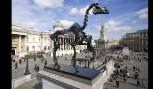 Londres : un squelette de cheval installé sur Trafalgar Square