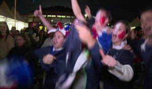 Mondial 2014 : l'explosion de joie des supporters français à Porto Alegre