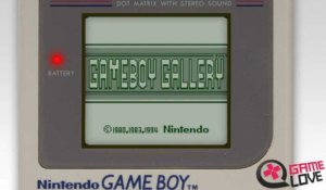 Game Boy Gallery : 5 jeux en un