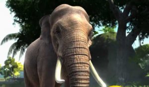 Zoo Tycoon - Apporter une Franchise Nostalgique sur Next-Gen