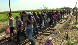 Les derniers migrants passent la frontière Serbo-hongroise