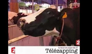 Télézaaping : Salon de l'agriculture, "Sarkozy se débine"