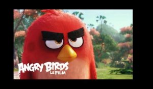 Angry Birds - Bande-annonce Teaser  officielle - VF