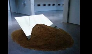 Art contemporain : Le musée Dia:Beacon fête ses 10 ans