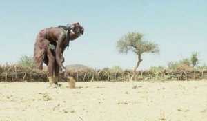 La Namibie subit sa plus grave sécheresse depuis 30 ans
