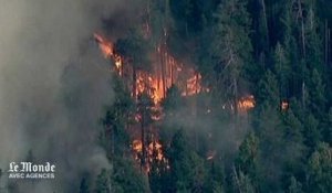 Les incendies continuent de ravager le sud de la Californie