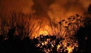 Un incendie dévaste une réserve écologique de Buenos Aires