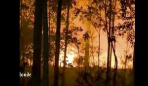 Accalmie sur le front des incendies en Australie