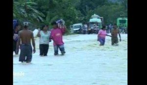 Philippines : le typhon Bopha fait près de 500 morts