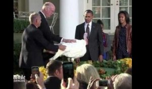 Thanksgiving : Barack Obama épargne deux dindes