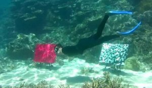 Australie : une galerie d'art sous-marine installée sur la Grande Barrière de corail