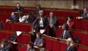 Une députée interrompue à l'Assemblée par des imitations de cris de poules