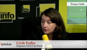 TextO' : Intempéries - Cécile Duflot (EELV) : «On n'a pas assez écouté les écologistes»