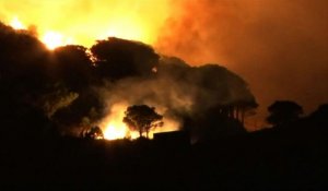 Pyrénées orientales: mort d'une femme pompier dans un incendie