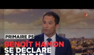 Benoît Hamon : "Oui, je suis candidat à l'élection présidentielle"