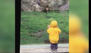 Japon: moment de panique pour cet enfant au zoo de Chiba