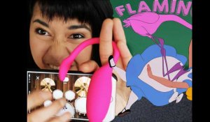 Clemity Jane : Flamingo !