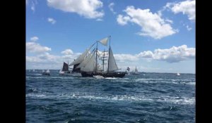 Brest 2016. Notre JT web des fêtes maritimes #2