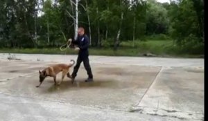 Les chiens pisteurs de la police fédérale à Nivelles