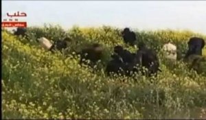 Jeunes combattants en Syrie: "Quatre Belges ont été interceptés en Turquie"