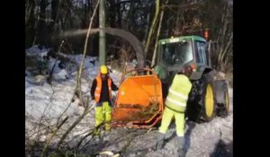 Nettoyage des arbres abattus sous le poids de la neige