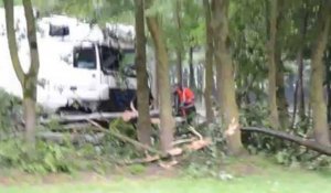 Un camion finit sa course dans les arbres à Maisières