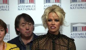 Pamela Anderson à l'Assemblée nationale