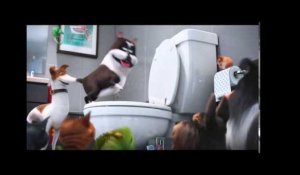The Secret Life of Pets - Teaser Trailer 2 (Universal Pictures)
