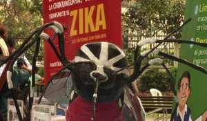 Le virus Zika se propage en Amérique Latine, l'OMS est inquiète