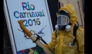 Zika, ce virus qui affole l'Amérique latine
