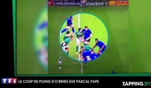 Rugby : L'impressionnant coup de poing de Sean O'Brien sur Pascal Papé