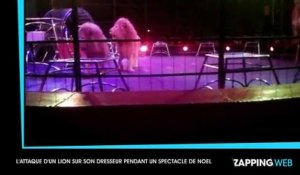 Un dresseur se fait attaquer par un lion en plein spectacle de Noël