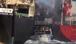 Des chasseurs de baleines attaquent un bateau d'écologistes !