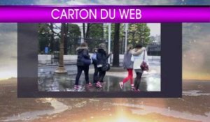 Le carton du web