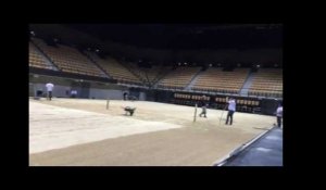 vidéo Arena Loire Trélazé