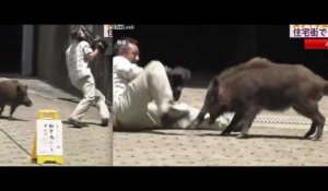 Chine : un caméraman attaqué par un petit sanglier !
